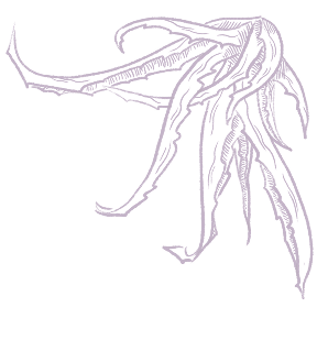 flower decoration background